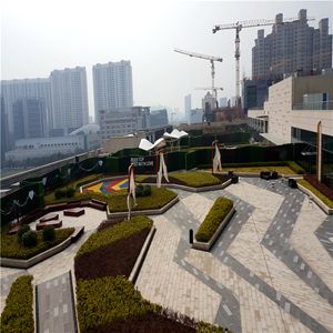 南京江宁金鹰天地广场屋顶绿化